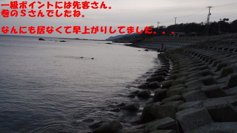 イメージ 8