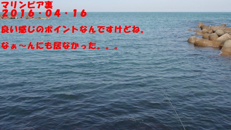 イメージ 4