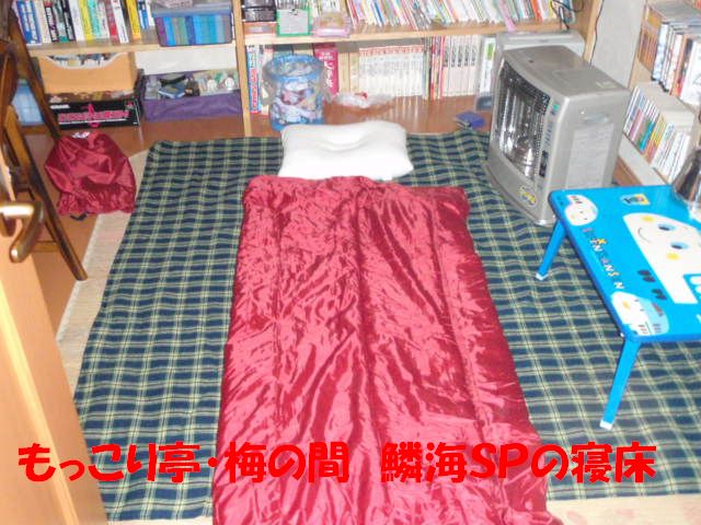 イメージ 11