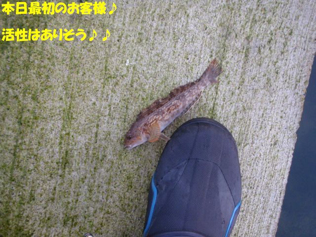 イメージ 4