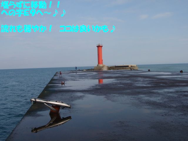 イメージ 8