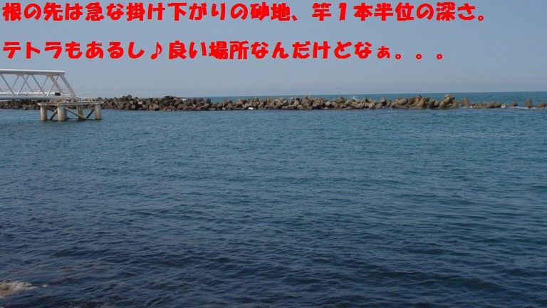 イメージ 5