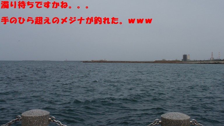イメージ 13