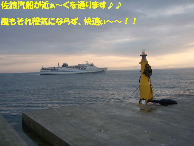 イメージ 5