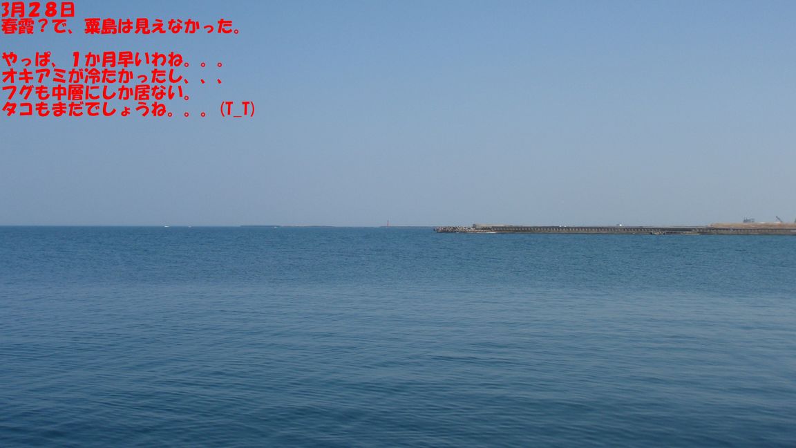 イメージ 17