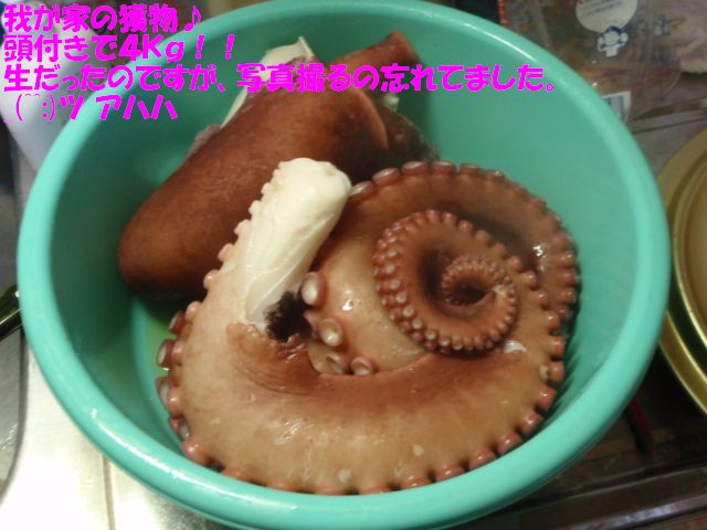 イメージ 17