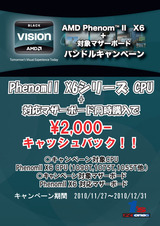 20101127amd-campaign