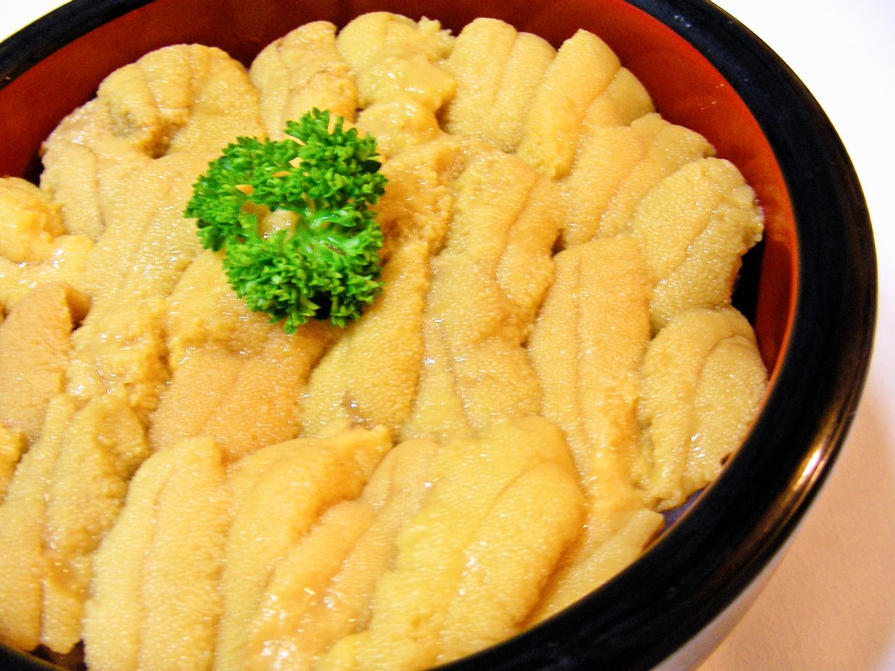 6/15 本日ウニ丼あります : 積丹四季徒然独言
