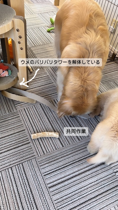 994A0C9E-9750-42EA-A610-D44316913F84