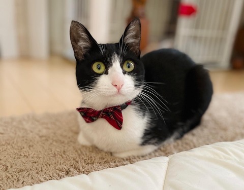 2CC8D001-243B-49B2-8F2F-BCA2571075FC