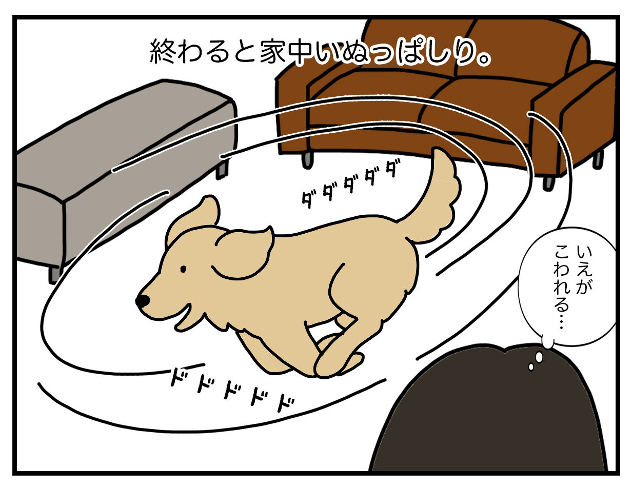 エフ漫画 老犬シャンプー リンマンブルース ゴールデンレトリバーの生態とマンガ Powered By ライブドアブログ