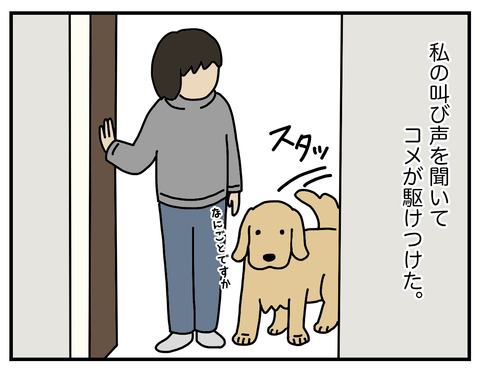 頼りない03