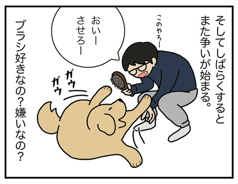 ブラッシング06