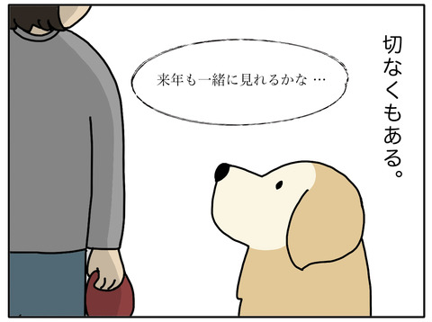 桜と老犬03