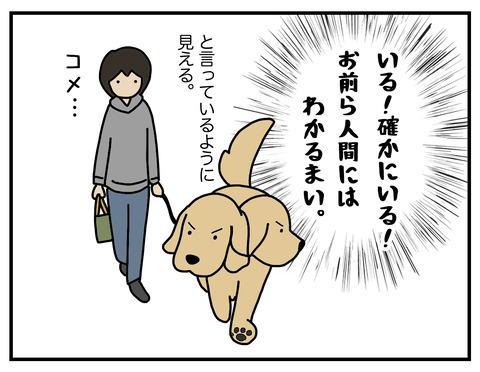 野生の本能06