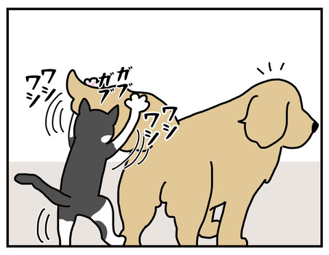 45516DE3-6CC8-451A-BF0F-D2C3B3C380B4