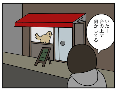 ガラス越し04