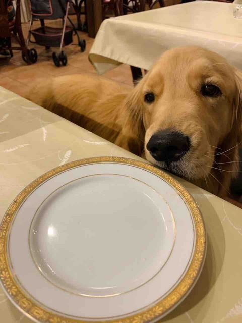 FullSizeRender