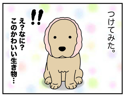 耳の長い犬04
