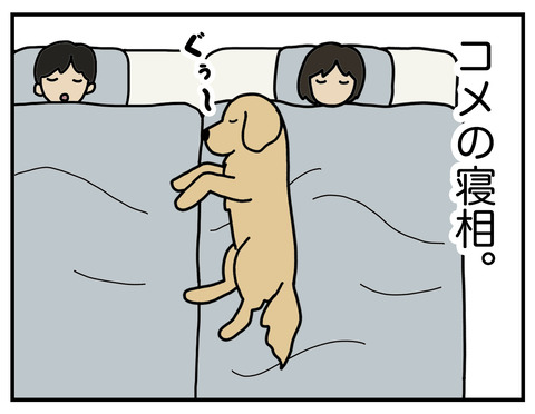 アロマ01