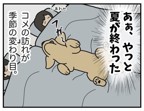06b