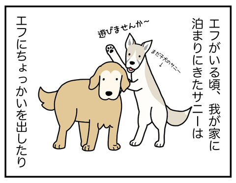 これは一体なに01