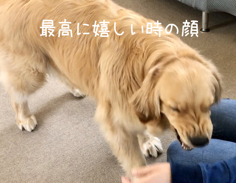 笑顔認定