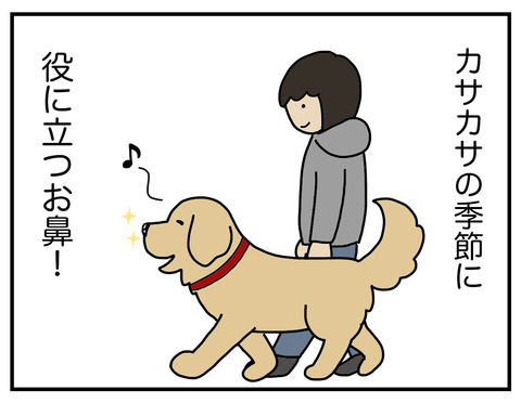 乾燥の季節08