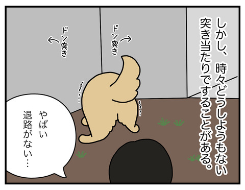 行き止まりで05