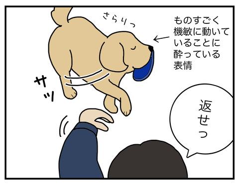 得意げな犬07