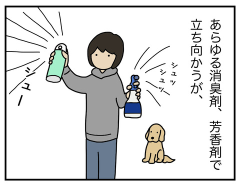玄関犬臭04