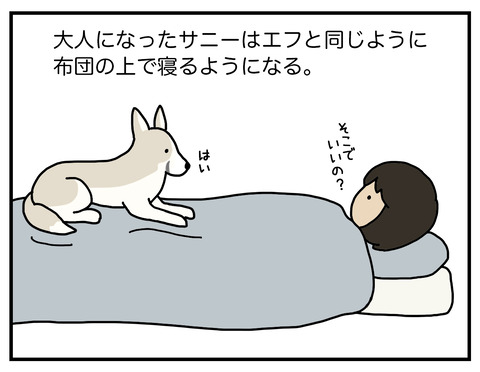 寝場所03
