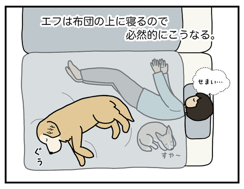 寝場所02
