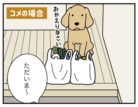 エフとコメの違い03