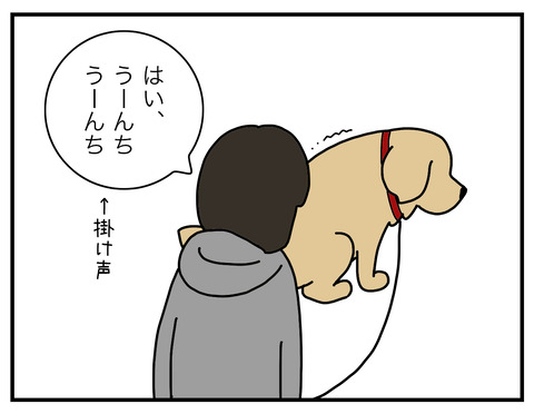 乾燥の季節03