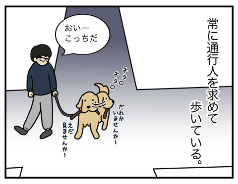 レトリバー06