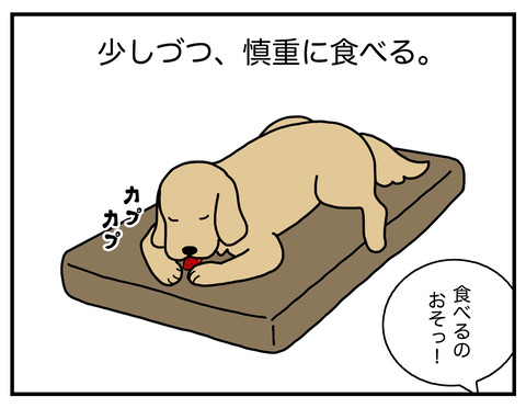 ハードかソフトか08