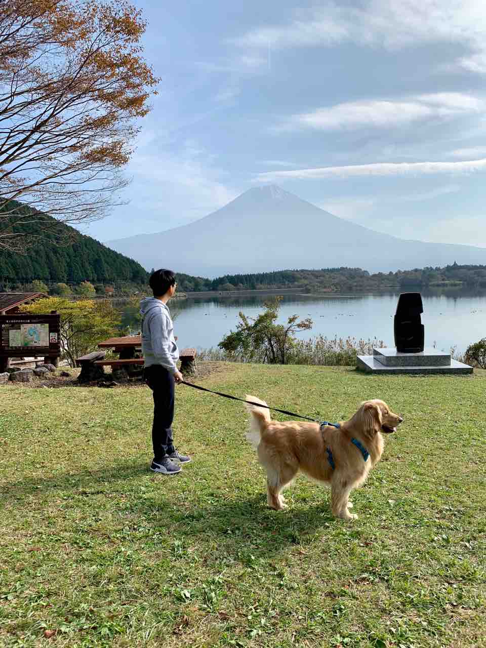 田貫湖と帰りたくない犬 リンマンブルース ゴールデンレトリバーの生態とマンガ Powered By ライブドアブログ