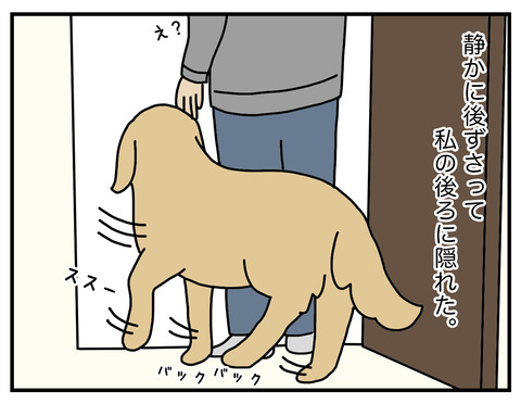 頼りない05