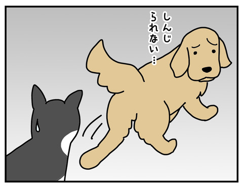06b