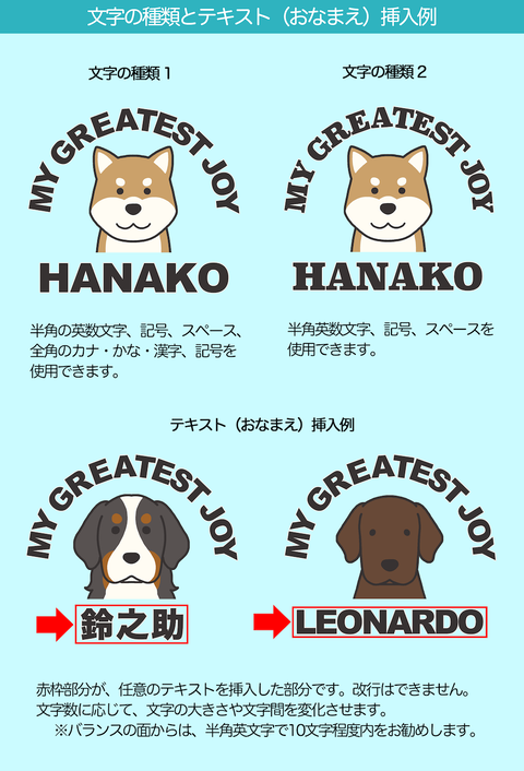 文字入れ例