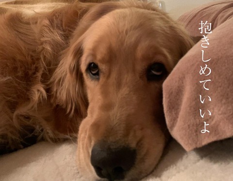 13555104-F6A2-4556-817F-66F146E8338E