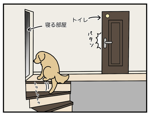 奪い合い02