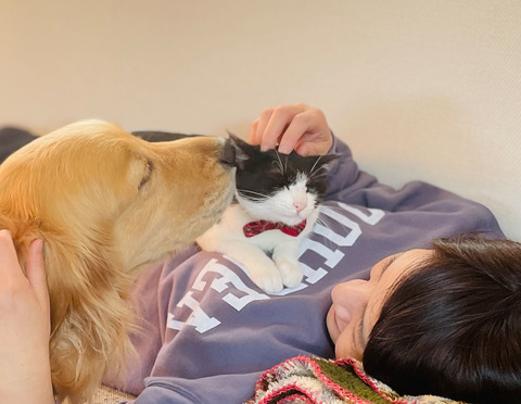 写真 のコピー