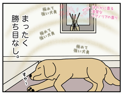 玄関犬臭05