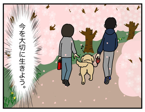 桜の季節06