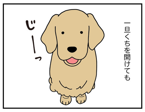 噛みがち04