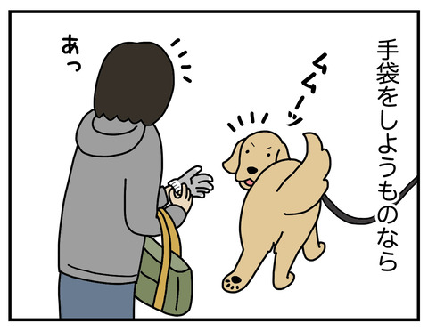 手袋の番人04