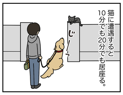 野生の本能02