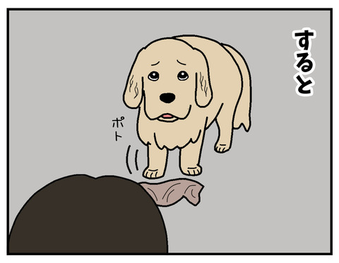 04 のコピー